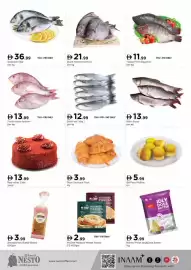 Nesto catalogue Page 4