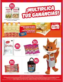 Catálogo Zorro Página 2