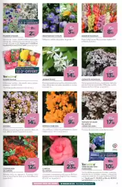 Catalogue Point Vert page 3