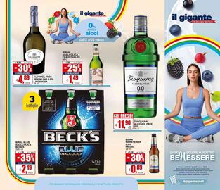 Volantino Il Gigante Pagina 22