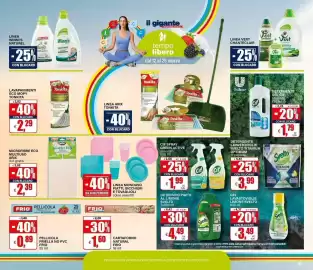 Volantino Il Gigante Pagina 19