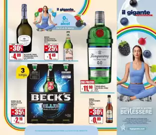Volantino Il Gigante Pagina 22