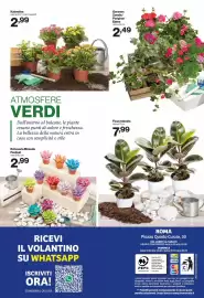 Volantino In'S Mercato Pagina 13