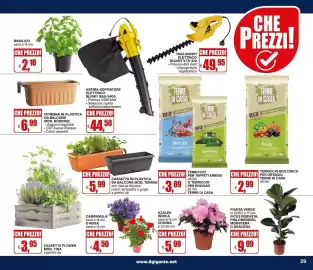 Volantino Il Gigante Pagina 29