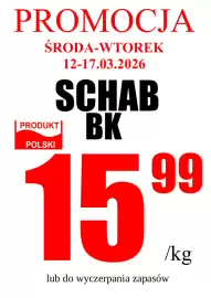 Wizan gazetka tydzień 11 Strona 1