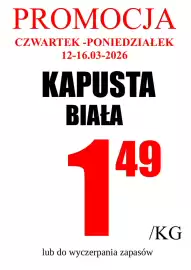 Wizan gazetka tydzień 11 Strona 3