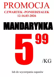 Wizan gazetka tydzień 11 Strona 4