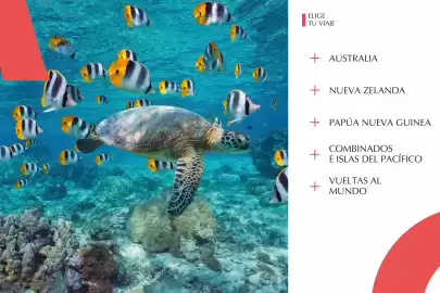 Catálogo Catai Página 10