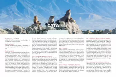 Catálogo Catai Página 101