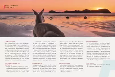 Catálogo Catai Página 13