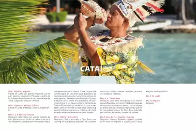 Catálogo Catai Página 142