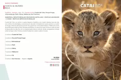 Catálogo Catai Página 182