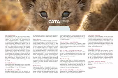 Catálogo Catai Página 184