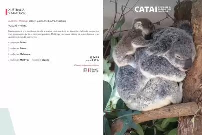 Catálogo Catai Página 66