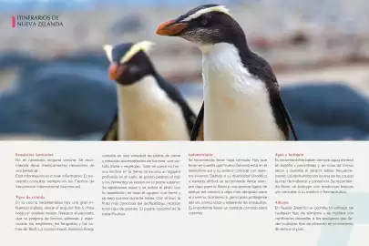 Catálogo Catai Página 79