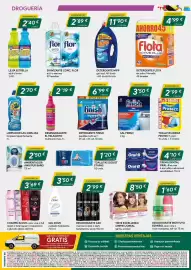 Folleto Masymas Página 8