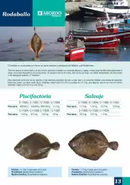 Folleto Abordo Página 13