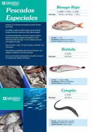 Folleto Abordo Página 18