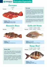 Folleto Abordo Página 20