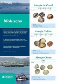 Folleto Abordo Página 26