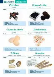 Folleto Abordo Página 28