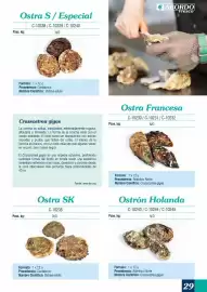 Folleto Abordo Página 29