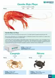 Folleto Abordo Página 31