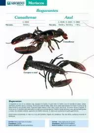 Folleto Abordo Página 32