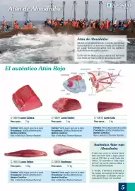 Folleto Abordo Página 5