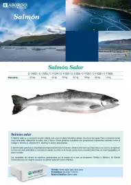 Folleto Abordo Página 8