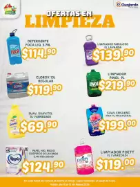 Folleto Guajardo Página 11