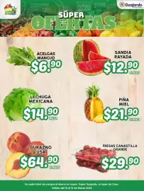 Folleto Guajardo Página 17