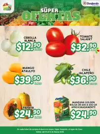 Folleto Guajardo Página 18