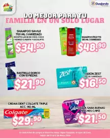 Folleto Guajardo Página 19