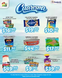 Folleto Guajardo Página 4