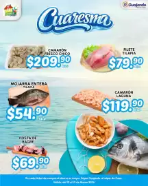 Folleto Guajardo Página 5