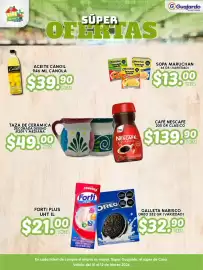 Folleto Guajardo Página 6