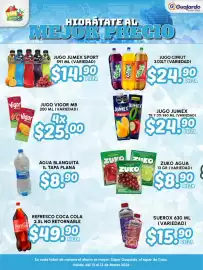 Folleto Guajardo Página 9