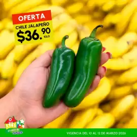 Folleto Guajardo Página 10