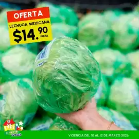 Folleto Guajardo Página 11