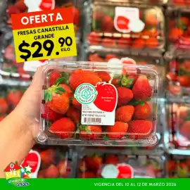 Folleto Guajardo Página 3