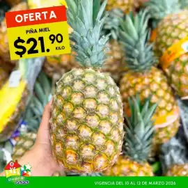 Folleto Guajardo Página 5