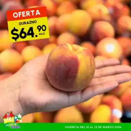 Folleto Guajardo Página 7