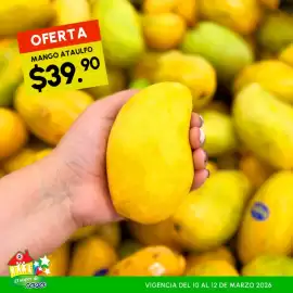 Folleto Guajardo Página 8