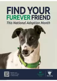 RACT catalogue Page 20