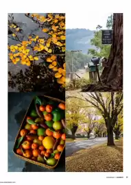 RACT catalogue Page 39