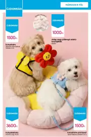 Pepco akciós újság hét 11 Oldal 12