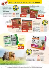 Alpha Zoo akciós újság Oldal 2