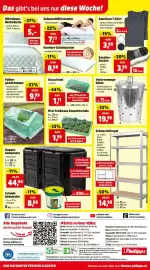 Thomas Philipps Prospekt woche 12 Seite 20