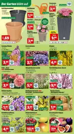 Thomas Philipps Prospekt woche 12 Seite 4